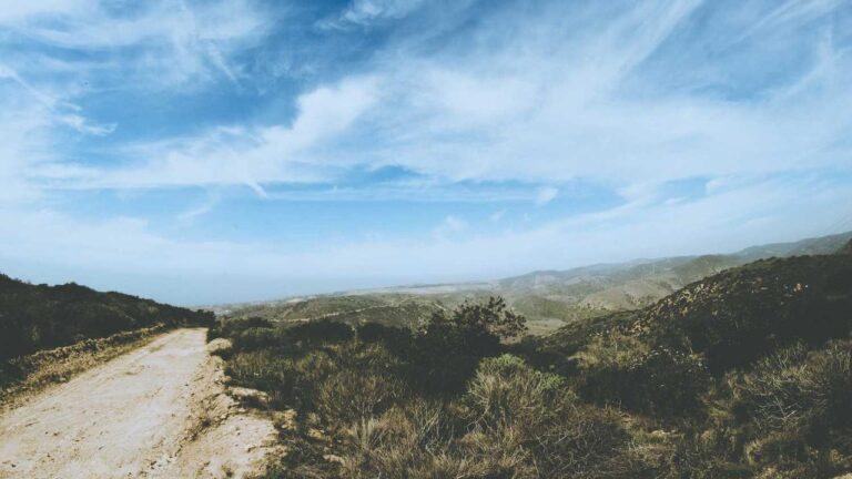 How To Apply A Cricbet99 Referral Code While Signing Up?